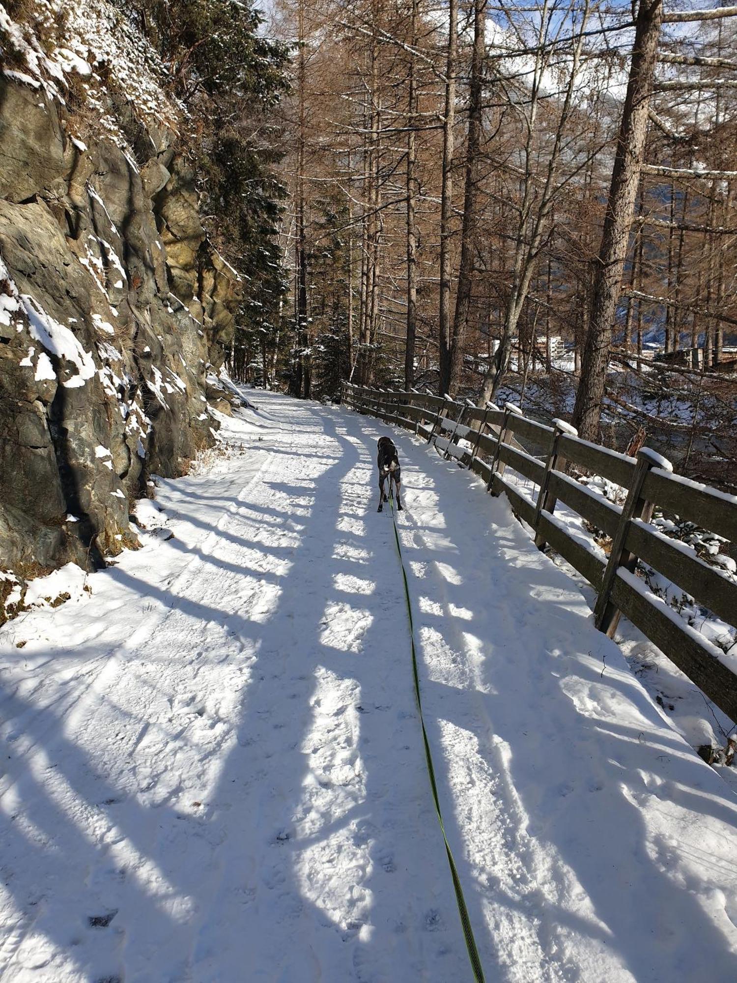 Ferienapart Bergstille Längenfeld Екстериор снимка
